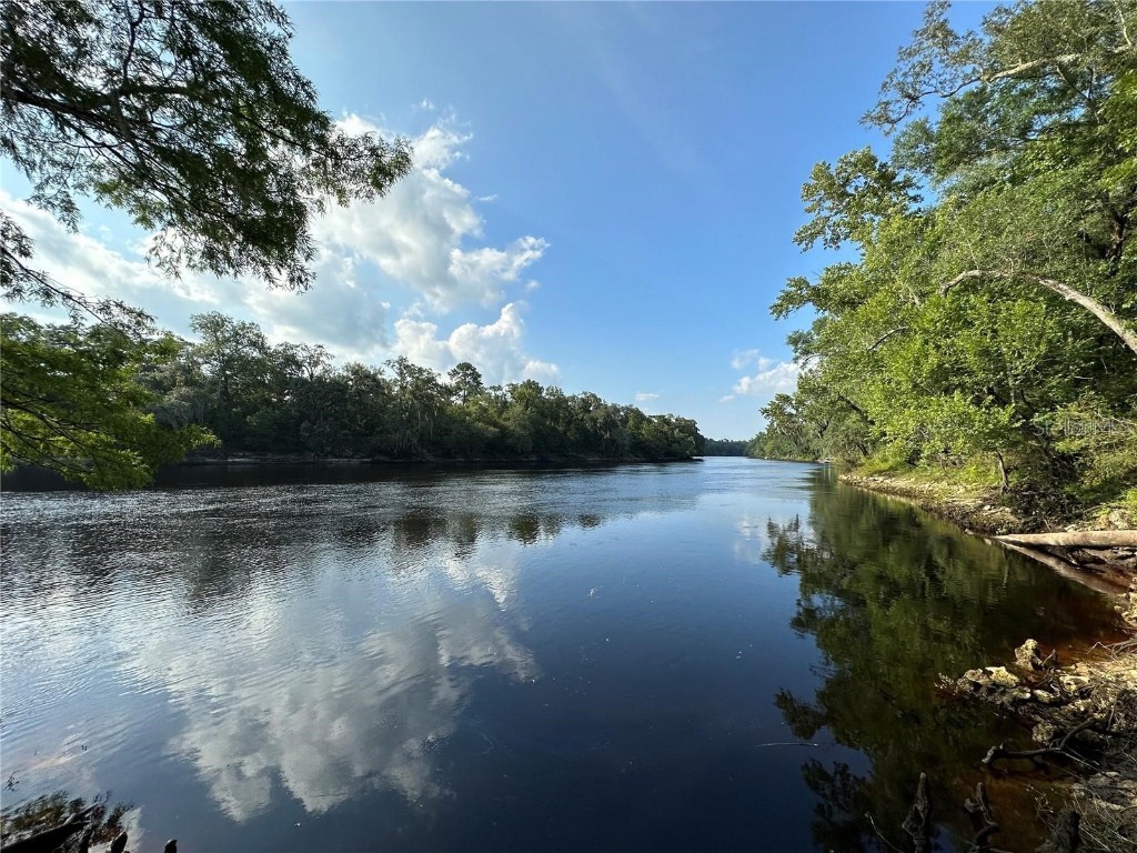 1601 NE Pickerel Road Mayo FL 32066 - SUWANNEE RIVER GC516085 image1