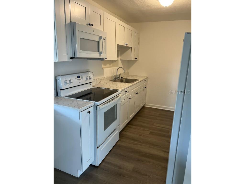 1601 Orange Drive Eustis FL 32726 O6354947 image5