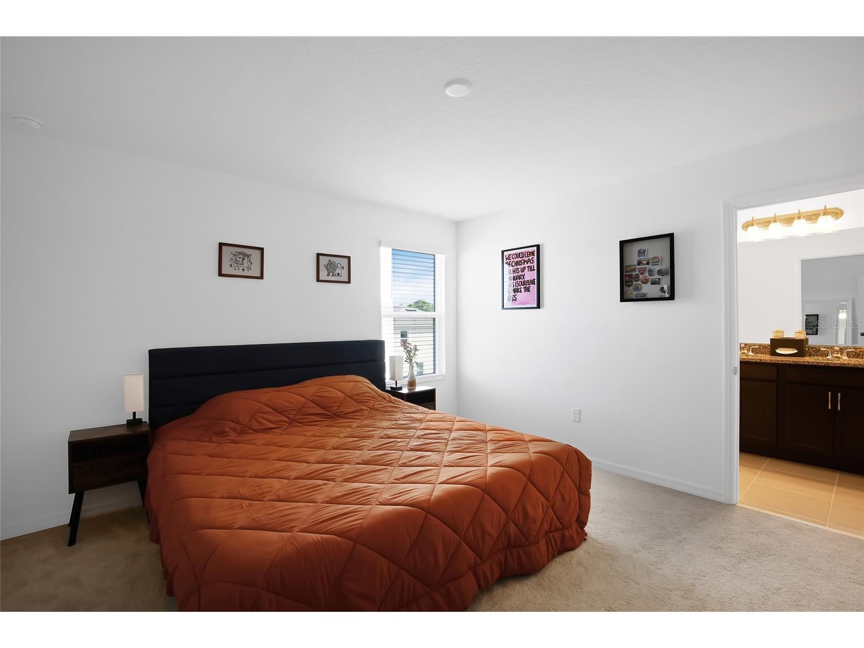 1601 Swan Swim Drive Davenport FL 33837 TB8494970 image33