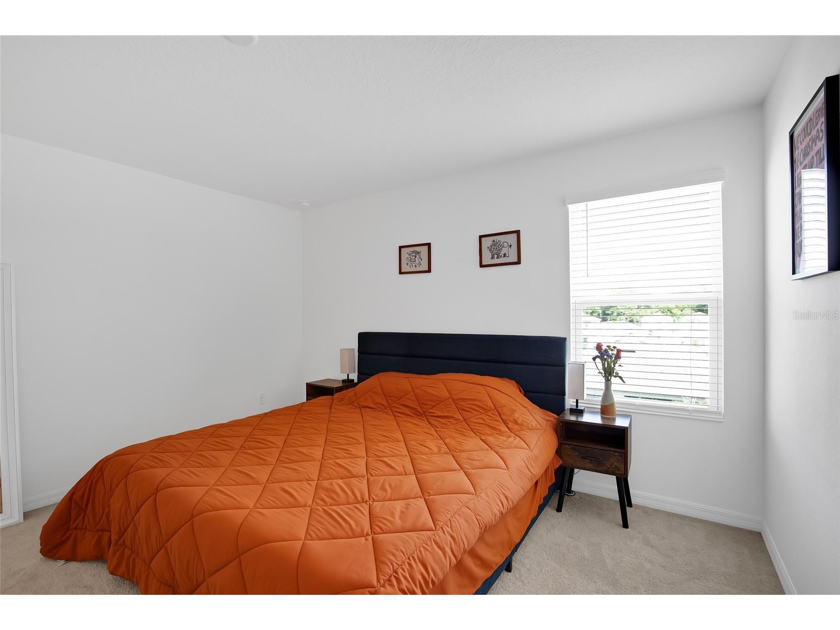 1601 Swan Swim Drive Davenport FL 33837 TB8494970 image34