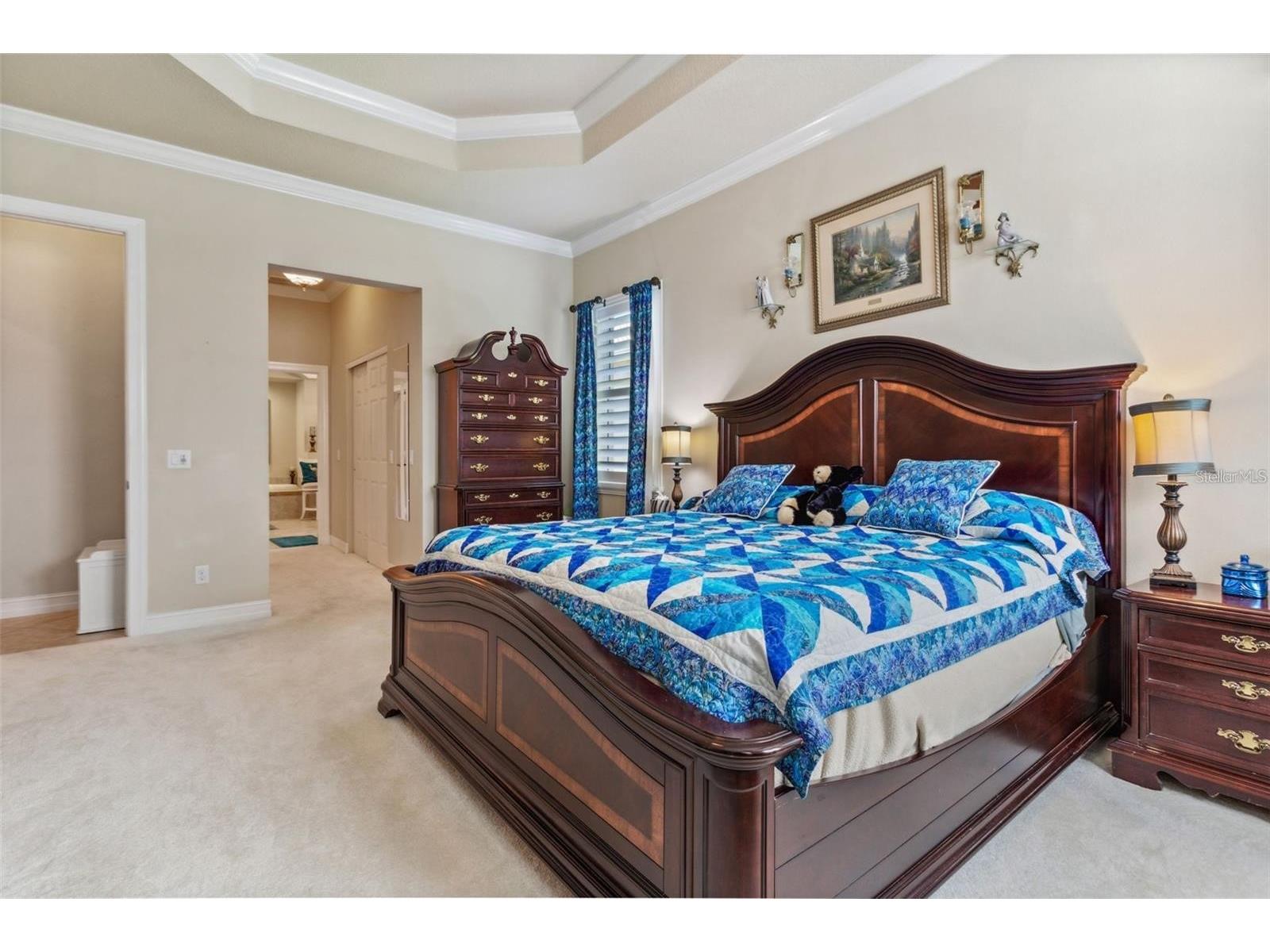 16010 Golden Lakes Drive Wimauma FL 33598 TB8511173 image13