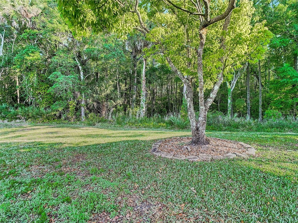 16010 Westerham Drive Tampa FL 33647 TB8425820 image50