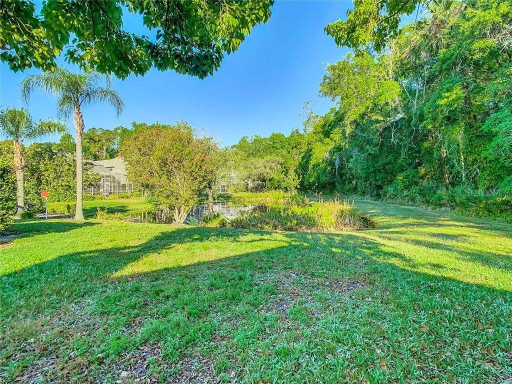 16010 Westerham Drive Tampa FL 33647 TB8425820 image51