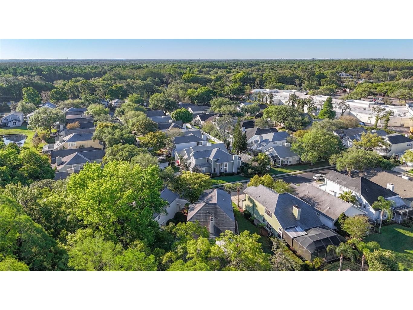 16010 Westerham Drive Tampa FL 33647 TB8425820 image54