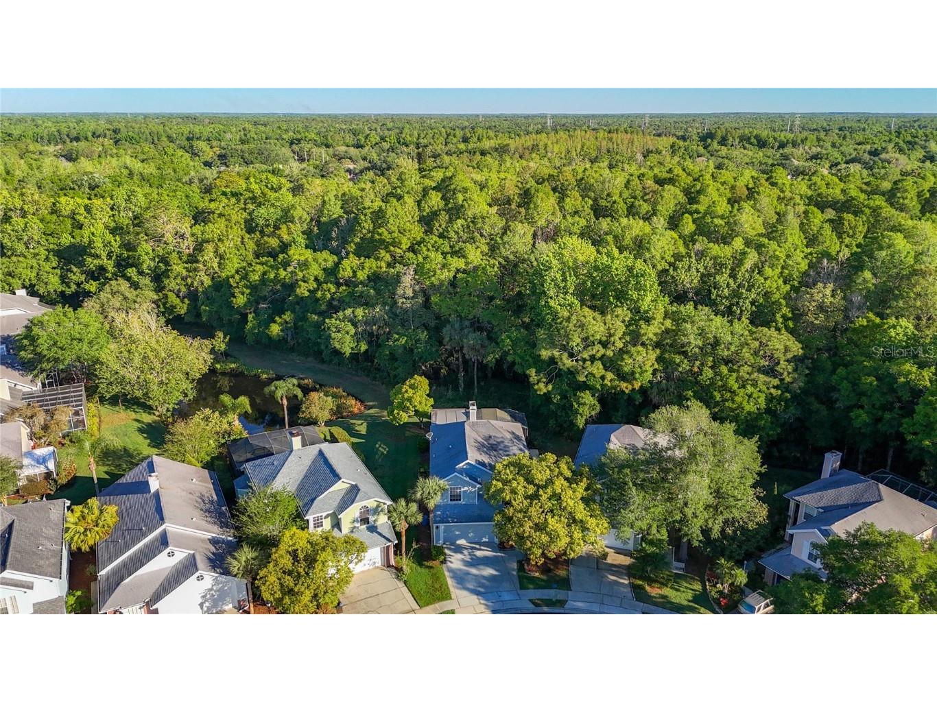 16010 Westerham Drive Tampa FL 33647 TB8425820 image55