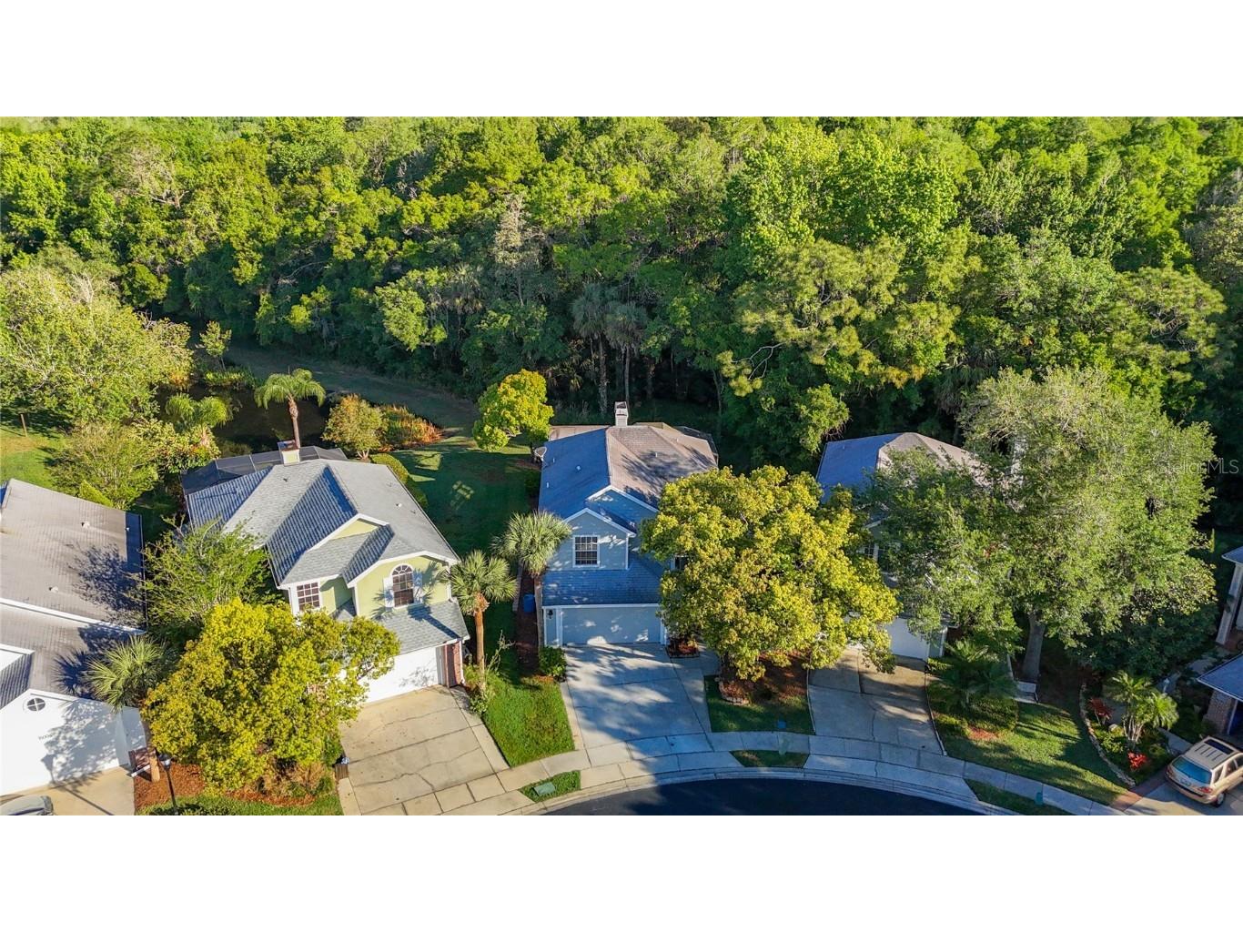 16010 Westerham Drive Tampa FL 33647 TB8425820 image56