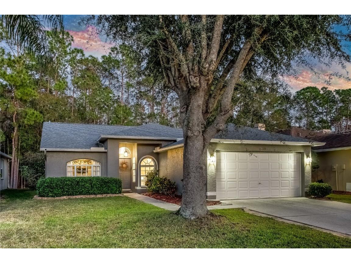 16011 Royal Aberdeen Place Odessa FL 33556 TB8321603 image1