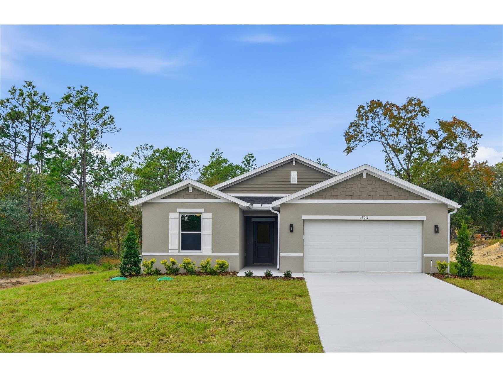 16011 Scaup Duck Avenue Weeki Wachee FL 34614 TB8470329 image1