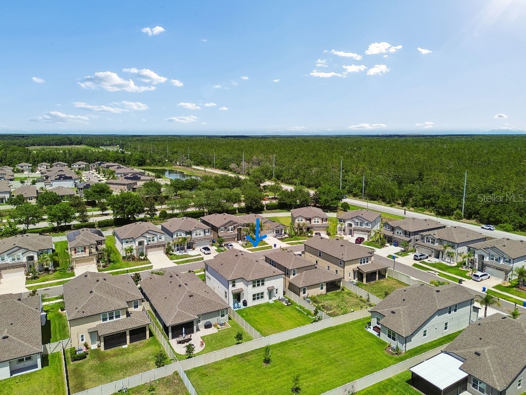 16011 Sonoma Grove Circle Tampa FL 33647 TB8510072 image40
