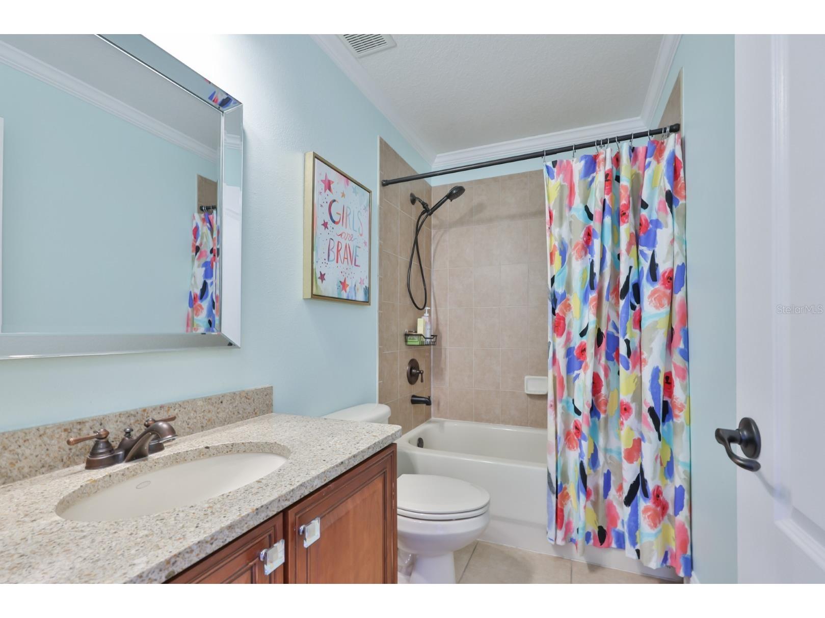 16012 Loneoak View Drive Lithia FL 33547 TB8513406 image31