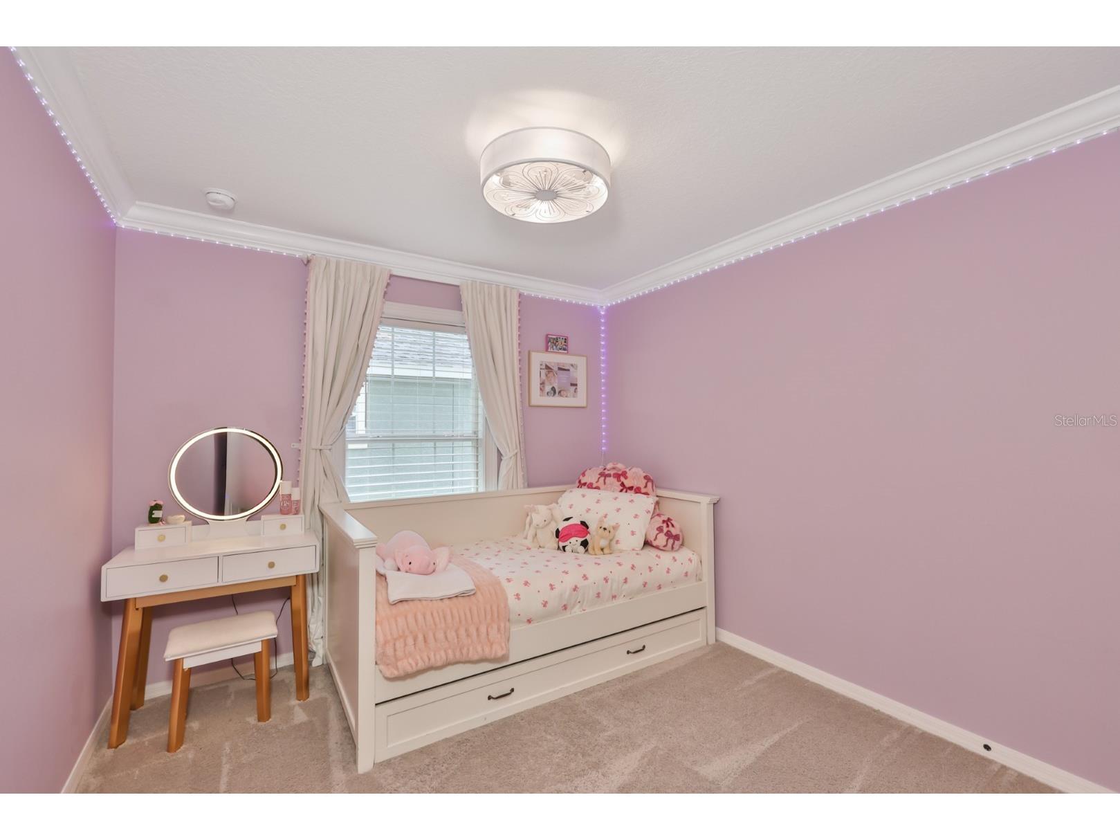 16012 Loneoak View Drive Lithia FL 33547 TB8513406 image32