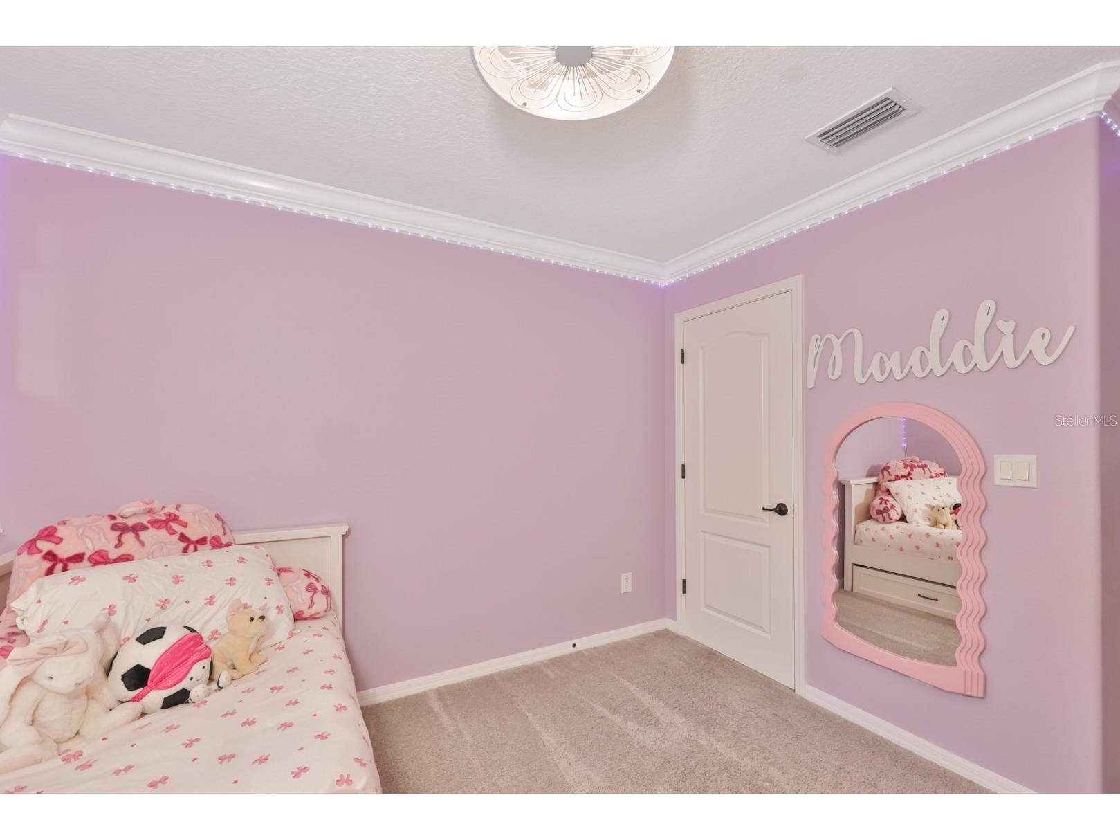 16012 Loneoak View Drive Lithia FL 33547 TB8513406 image33