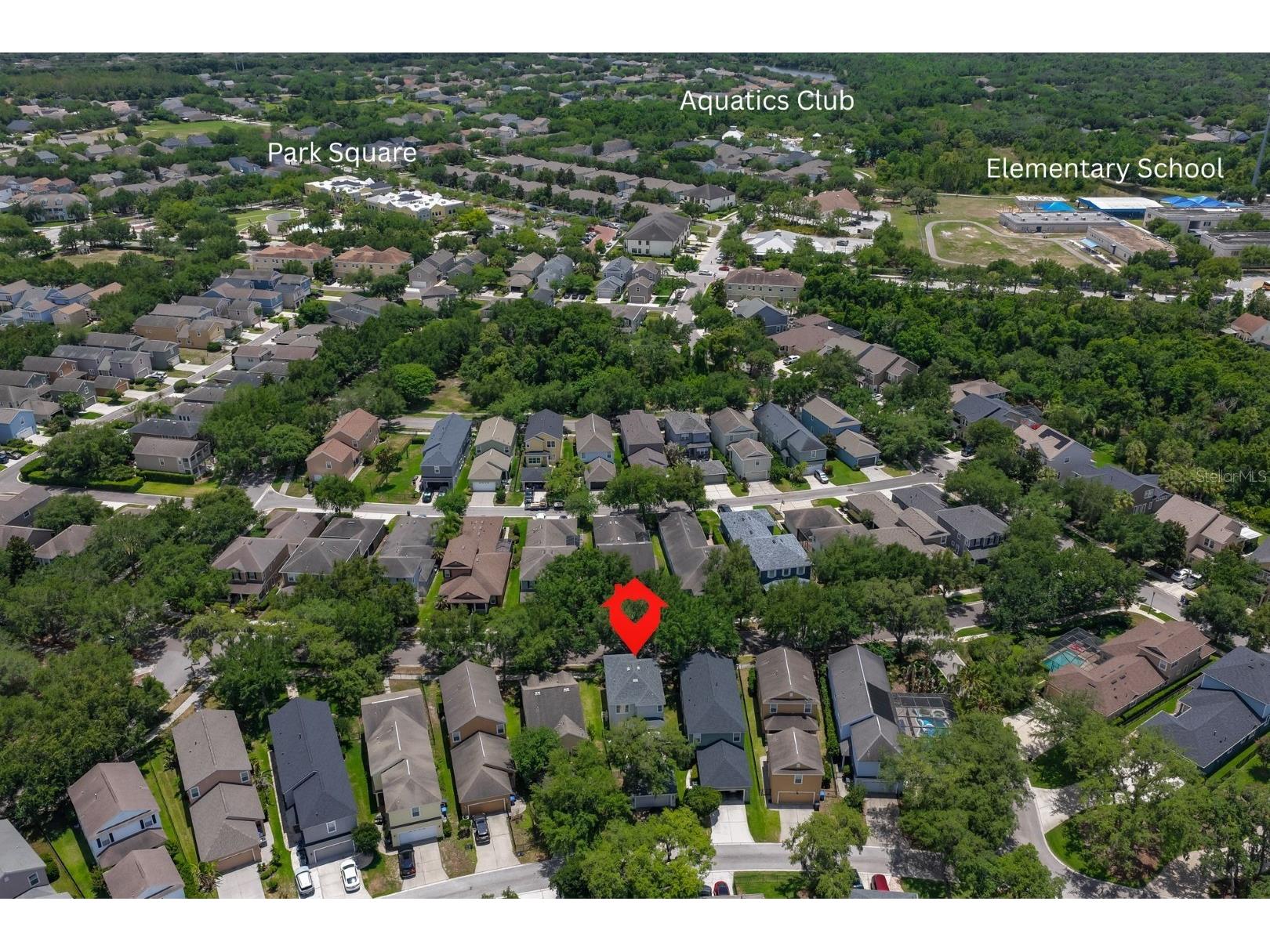 16012 Loneoak View Drive Lithia FL 33547 TB8513406 image48