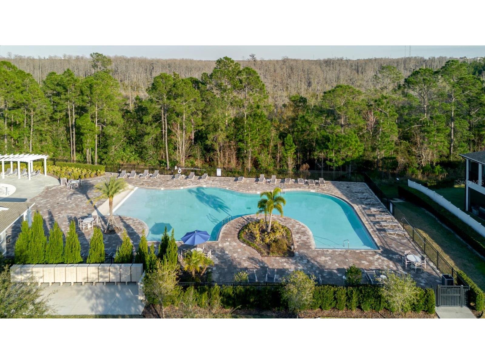 16012 Micelli Drive Winter Garden FL 34787 TB8472370 image16