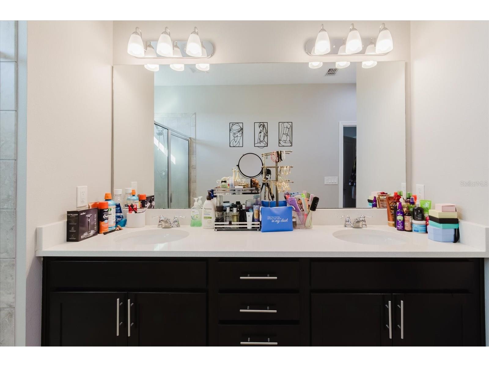 16012 Micelli Drive Winter Garden FL 34787 TB8472370 image33