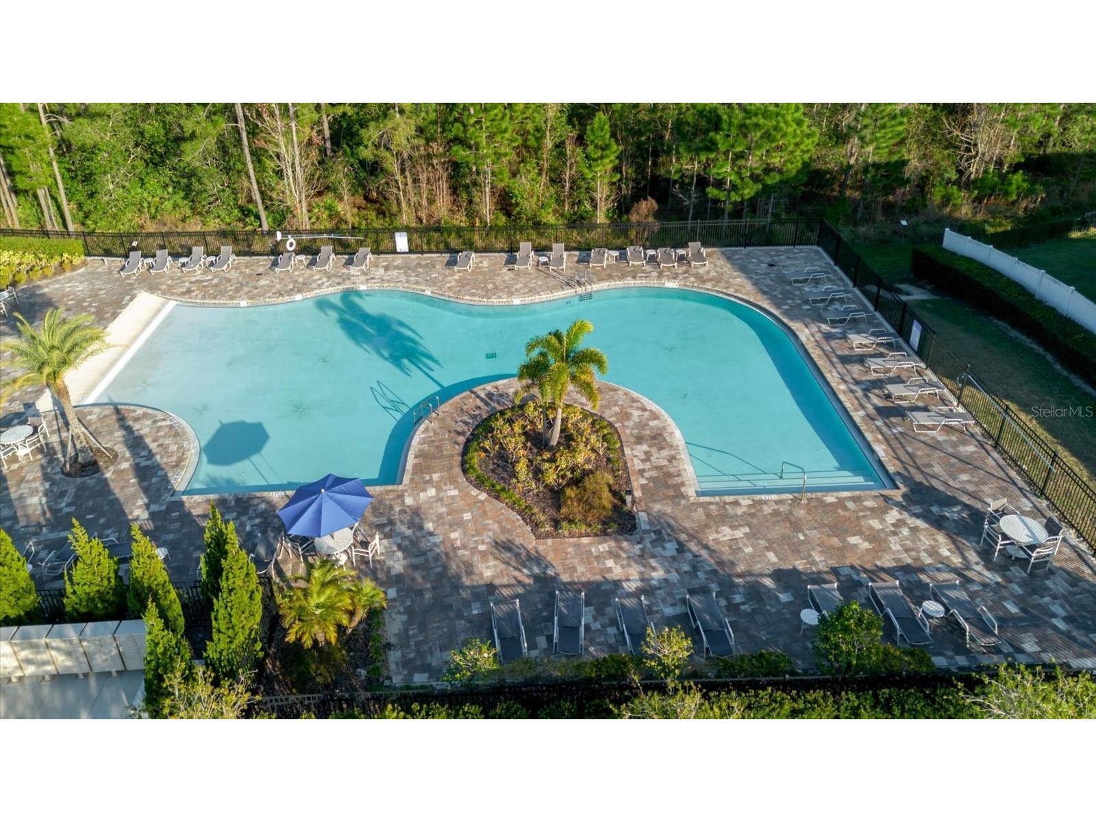 16012 Micelli Drive Winter Garden FL 34787 TB8472370 image4