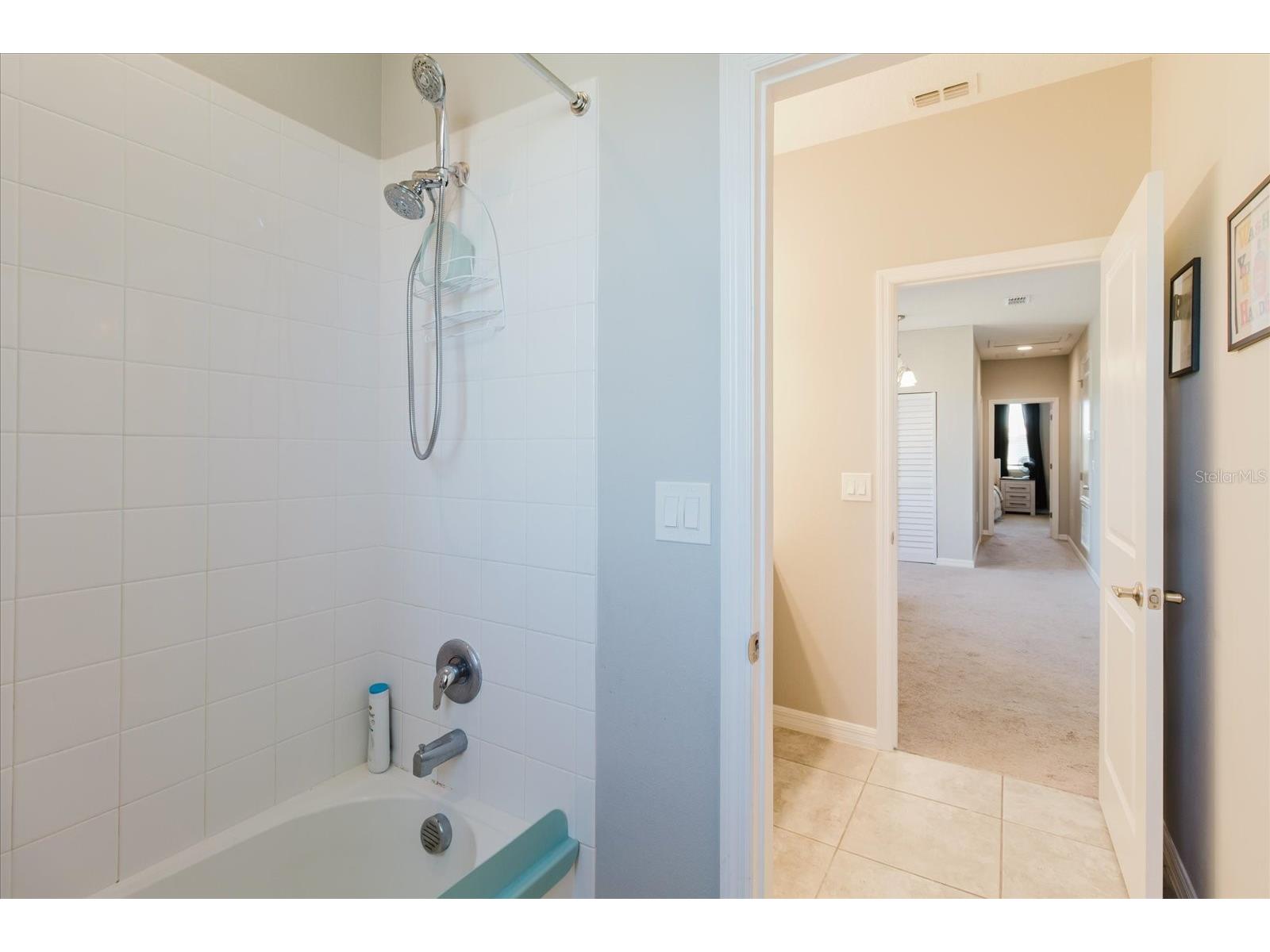 16012 Micelli Drive Winter Garden FL 34787 TB8472370 image41