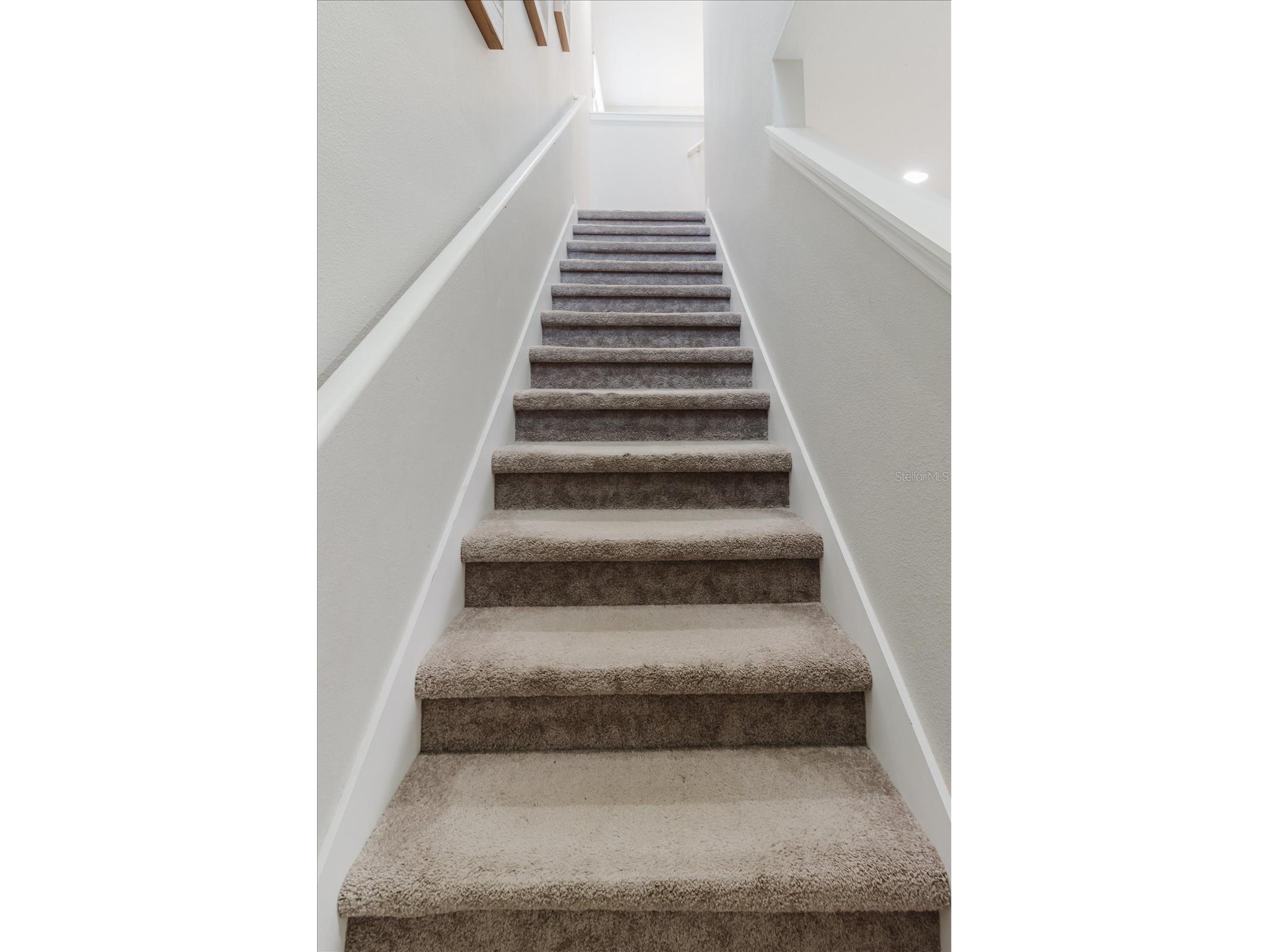 16012 Micelli Drive Winter Garden FL 34787 TB8472370 image45