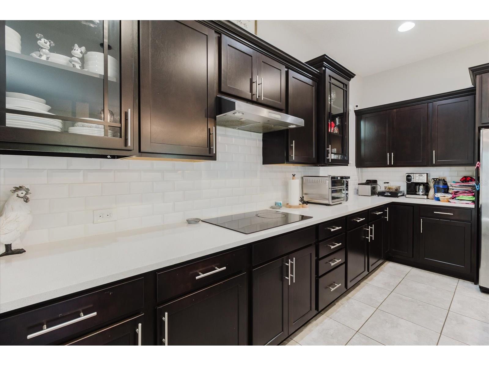 16012 Micelli Drive Winter Garden FL 34787 TB8472370 image52