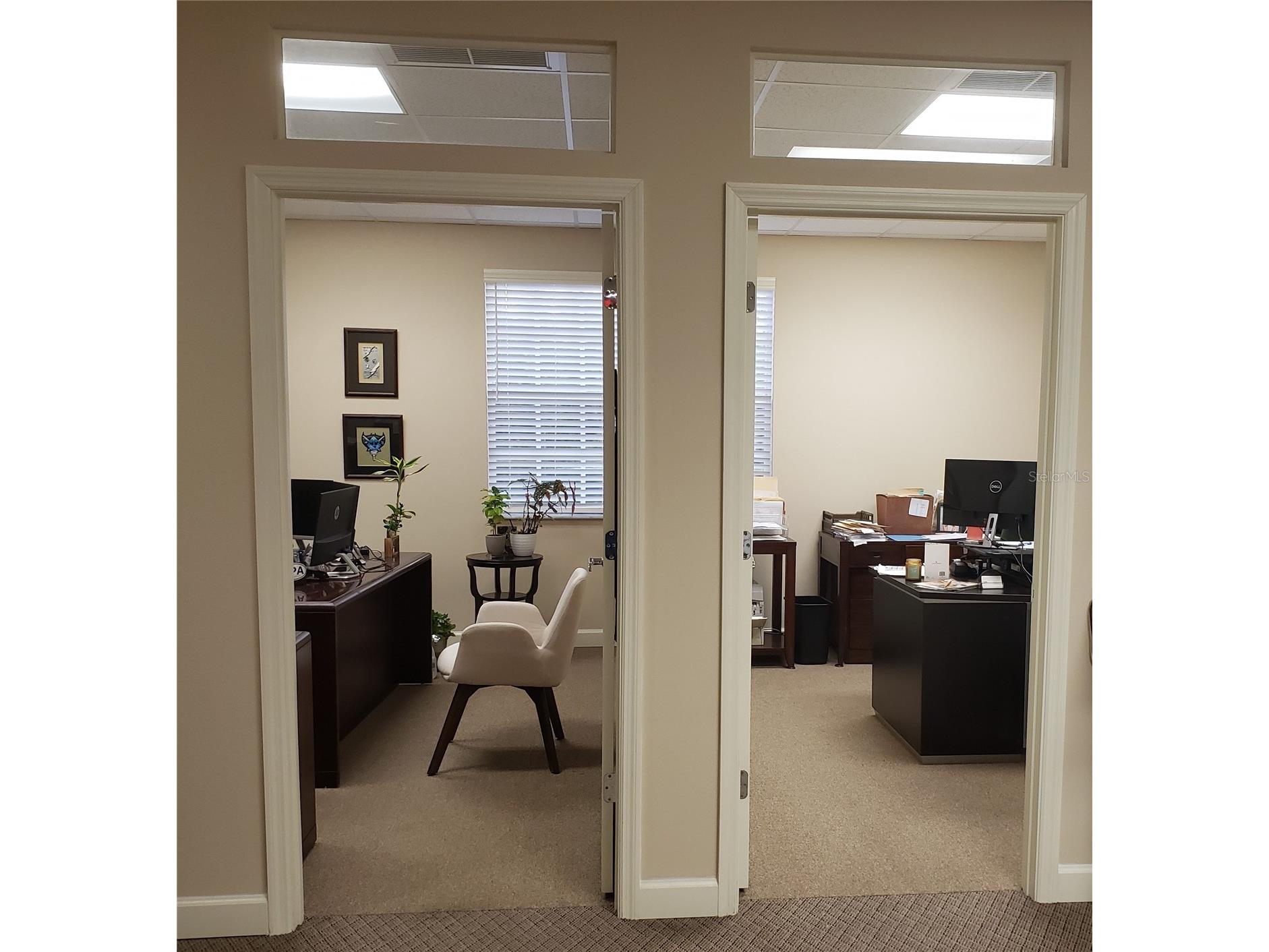 16013 N Florida Avenue Lutz FL 33549 TB8477523 image10
