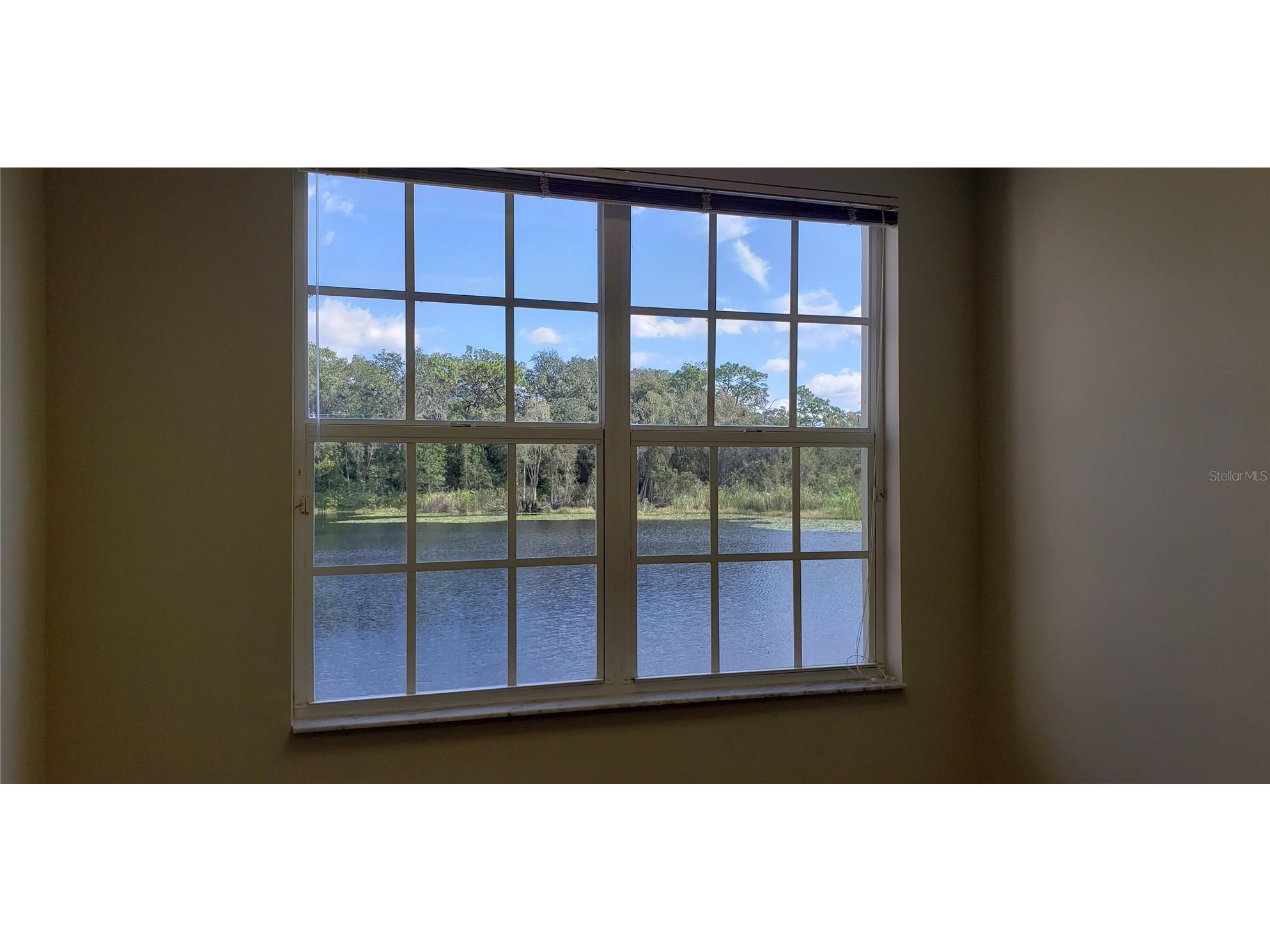 16013 N Florida Avenue Lutz FL 33549 TB8477523 image14