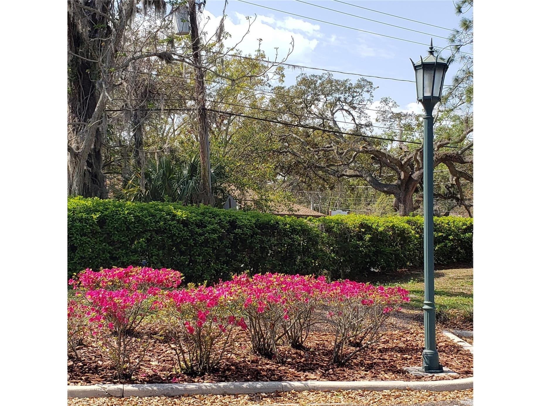 16013 N Florida Avenue Lutz FL 33549 TB8477523 image17
