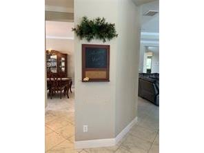 16015 Cape Coral Drive Wimauma FL 33598 TB8491417 image24