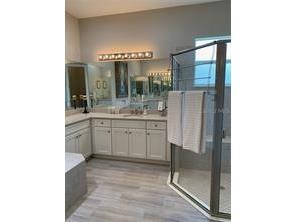 16015 Cape Coral Drive Wimauma FL 33598 TB8491417 image47