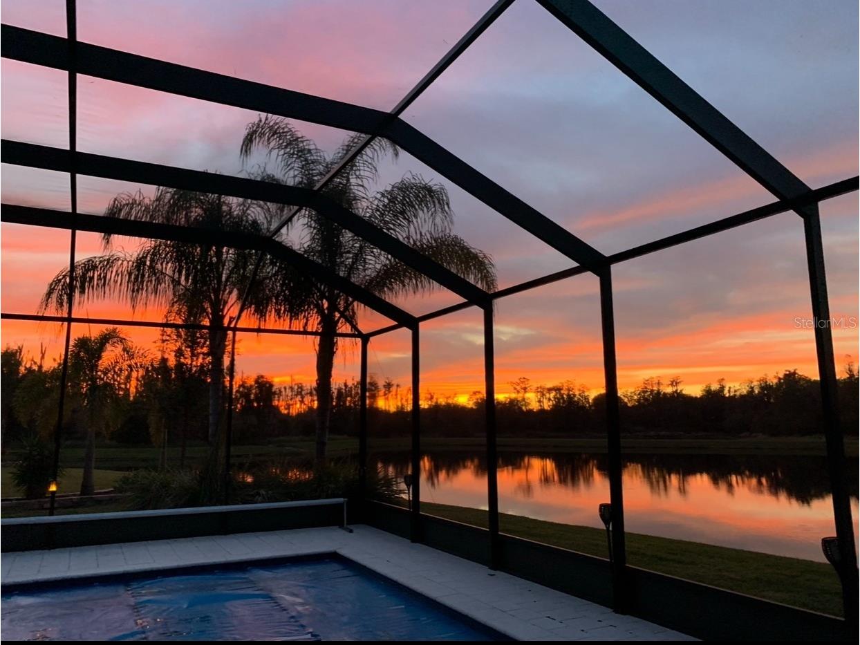 16015 Cape Coral Drive Wimauma FL 33598 TB8491417 image7
