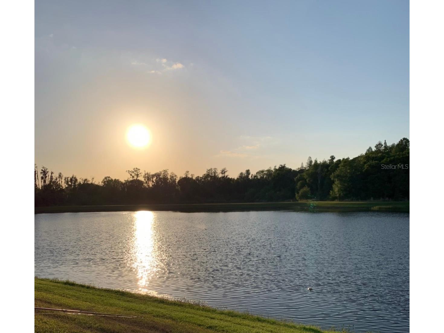 16015 Cape Coral Drive Wimauma FL 33598 TB8491417 image8