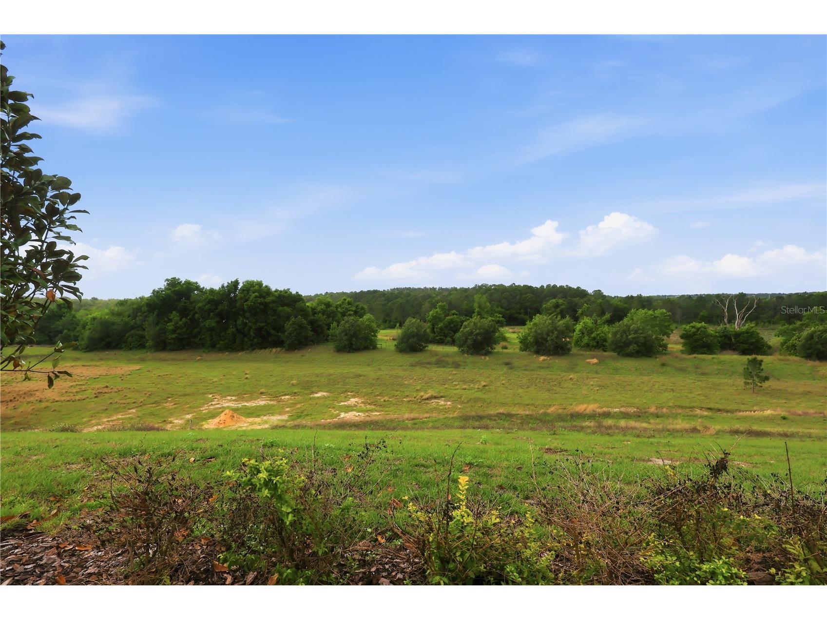 16017 Volterra Point Montverde FL 34756 O6369265 image60