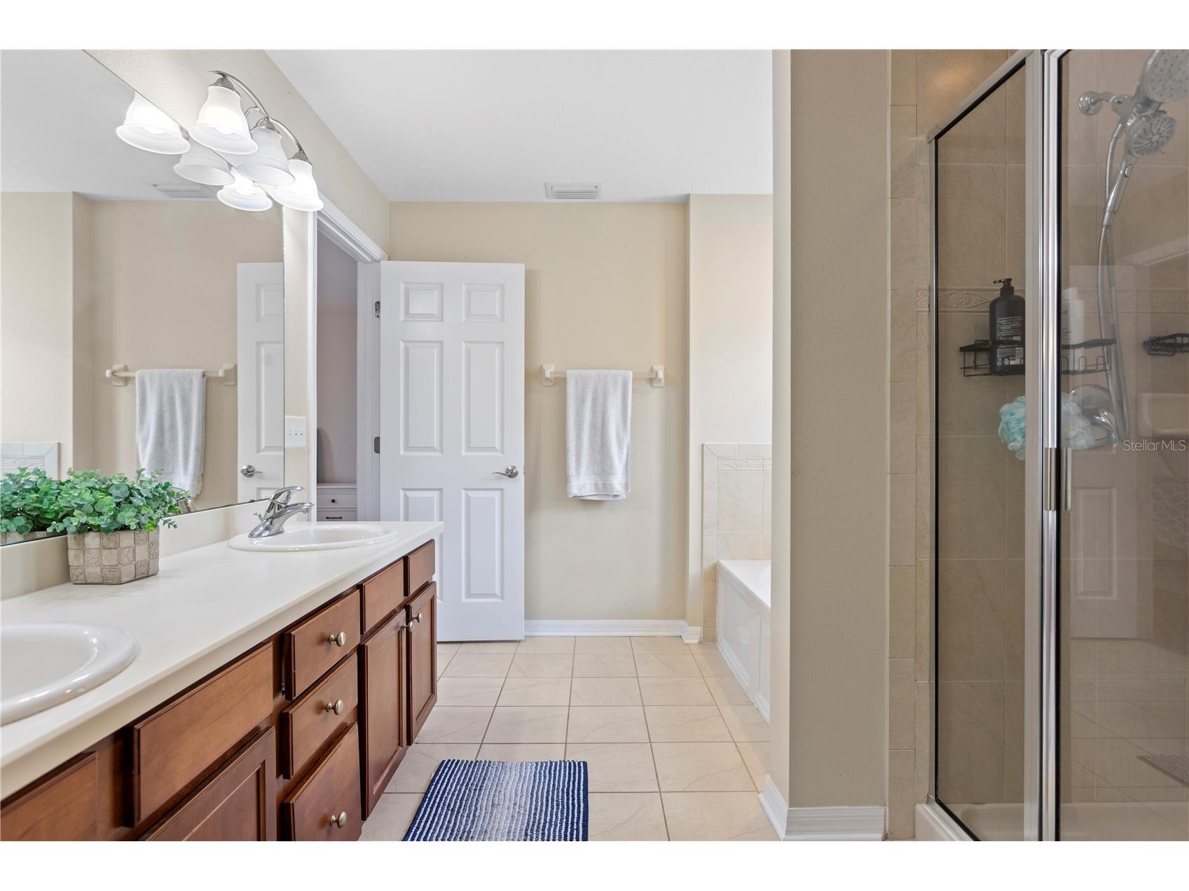 16018 Loneoak View Drive Lithia FL 33547 TB8503030 image33
