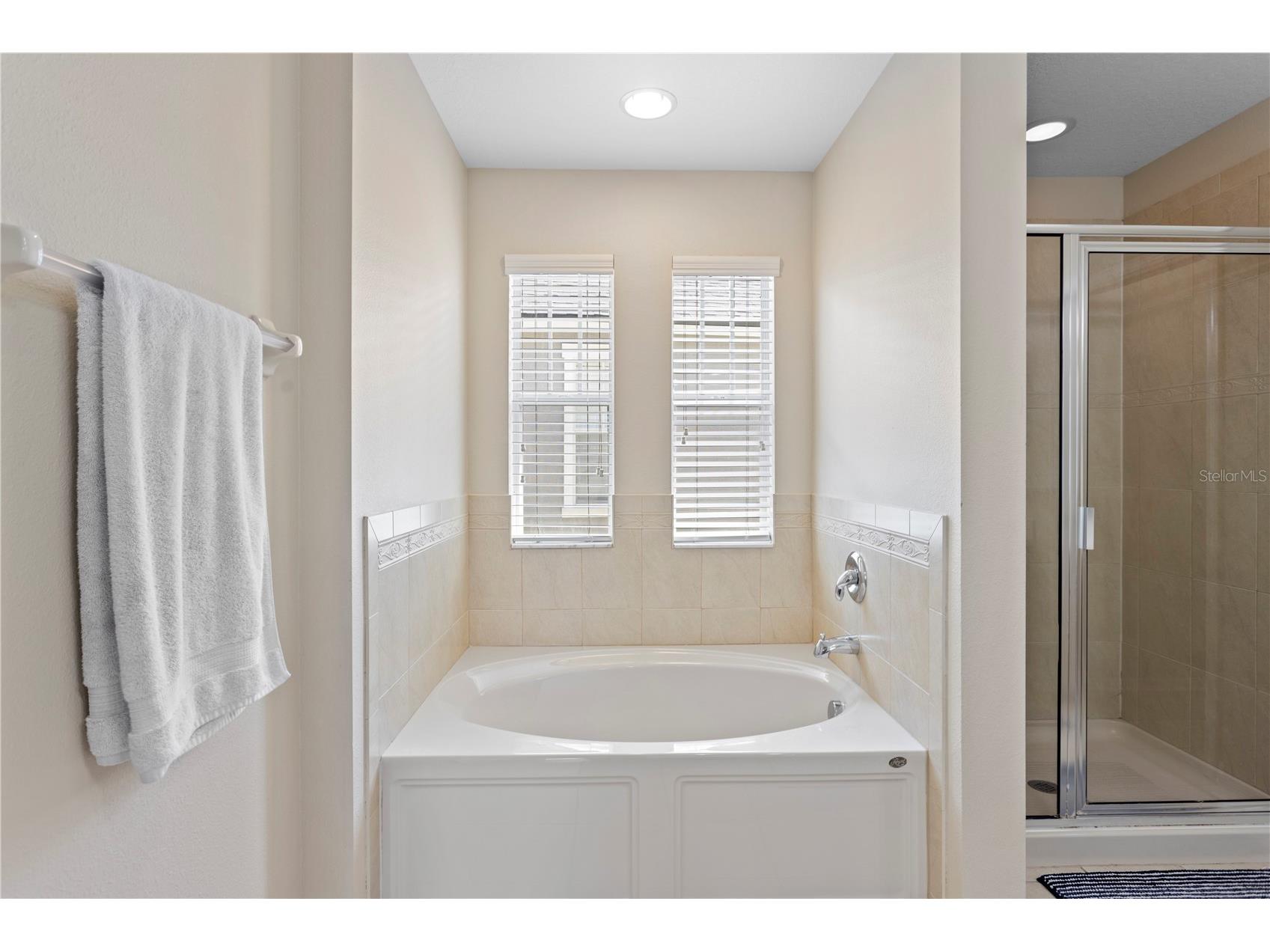 16018 Loneoak View Drive Lithia FL 33547 TB8503030 image34