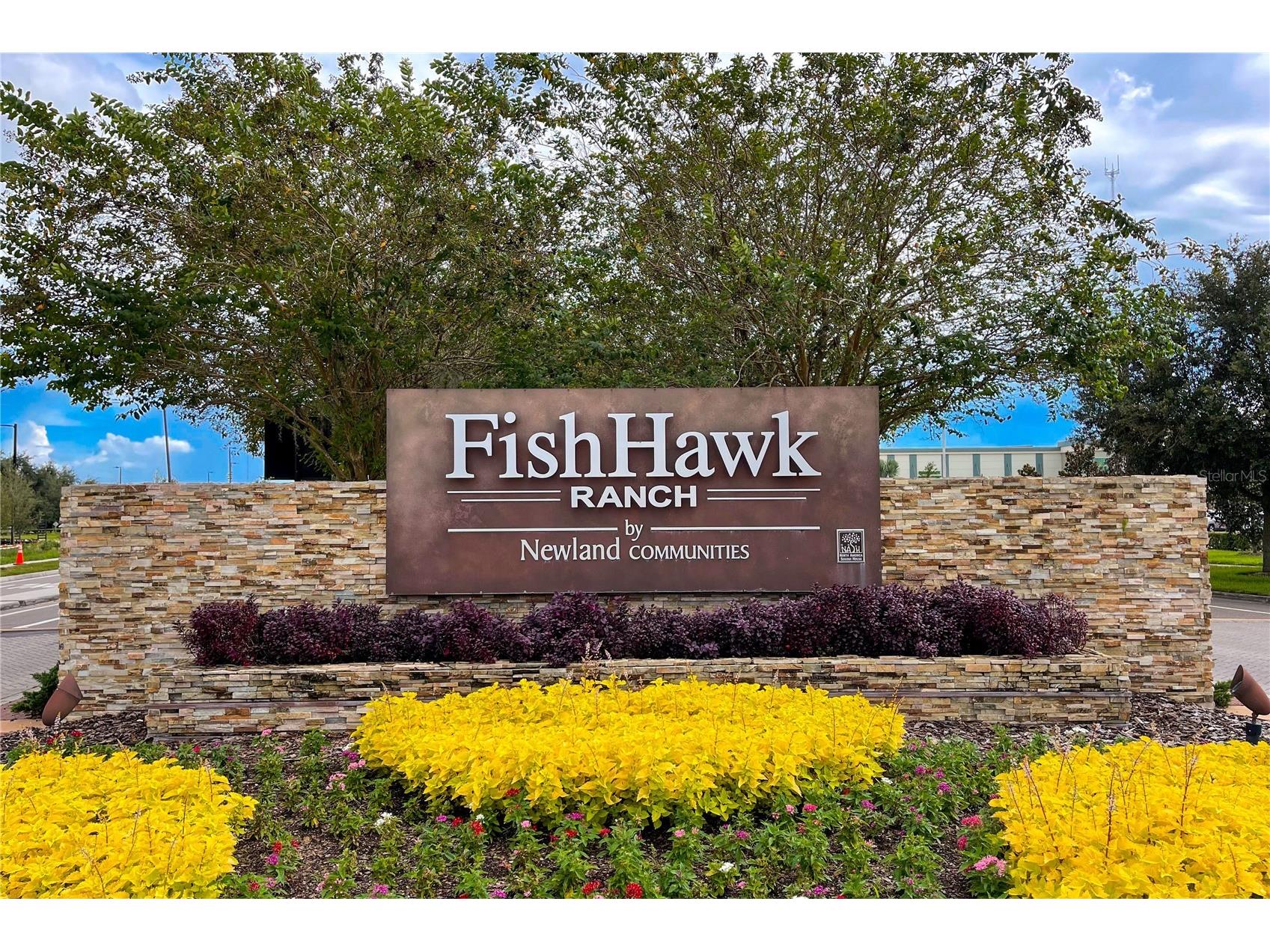 16018 Loneoak View Drive Lithia FL 33547 TB8503030 image52