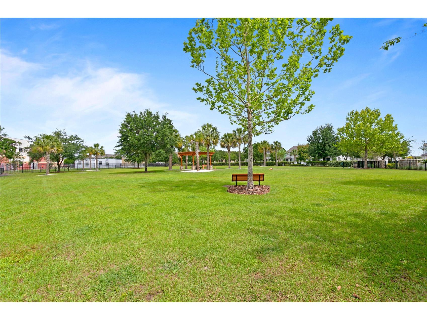 16018 Loneoak View Drive Lithia FL 33547 TB8503030 image65