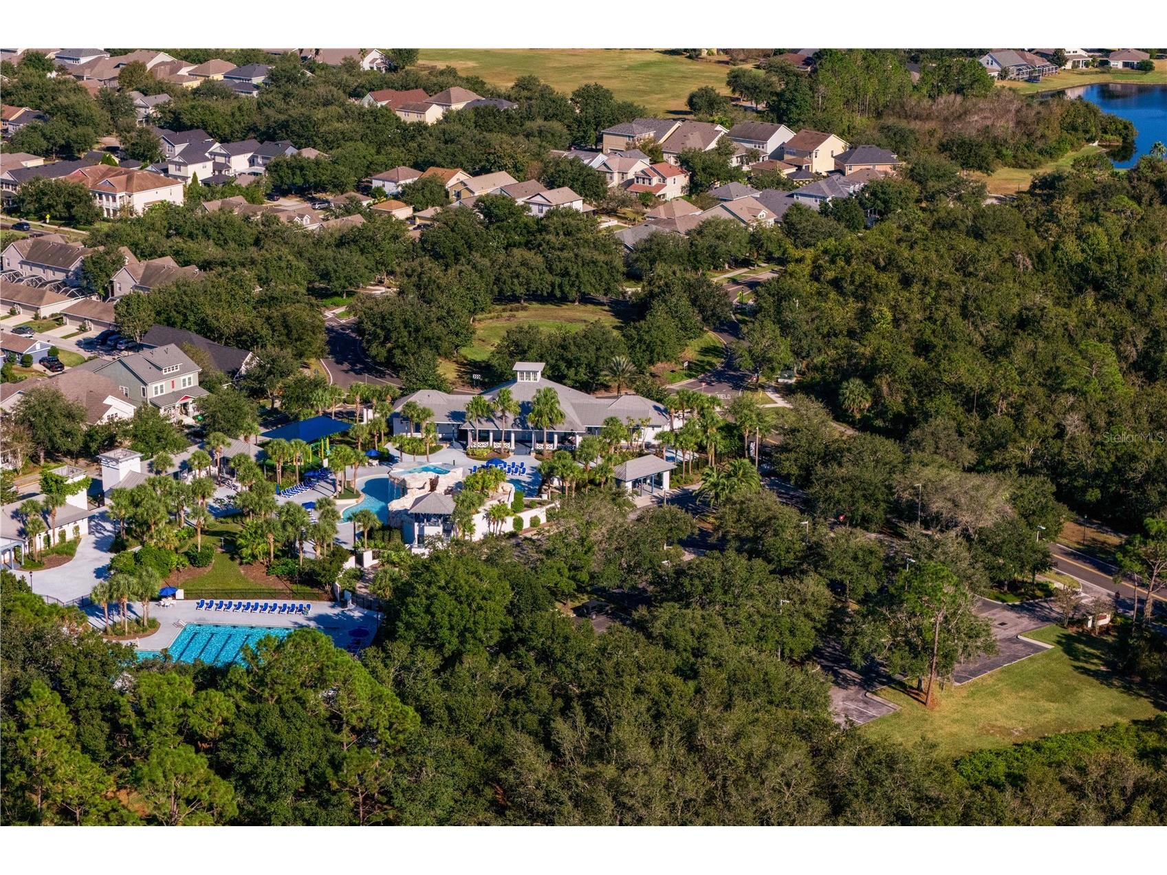 16018 Loneoak View Drive Lithia FL 33547 TB8503030 image68