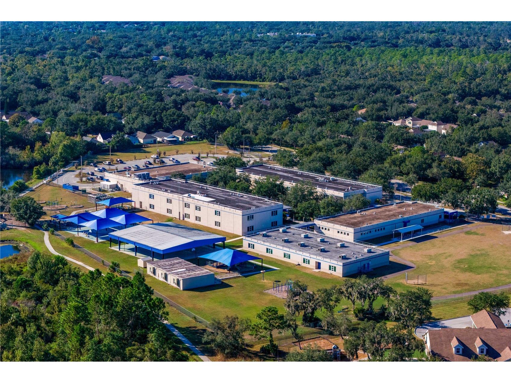 16018 Loneoak View Drive Lithia FL 33547 TB8503030 image70