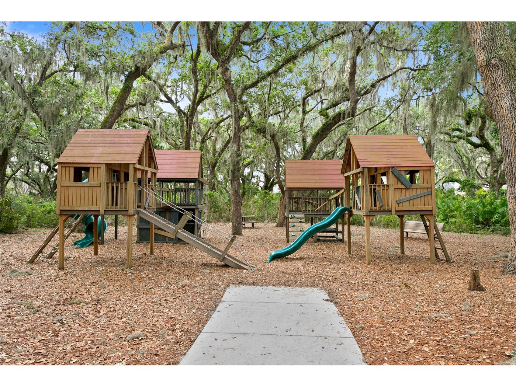 16018 Loneoak View Drive Lithia FL 33547 TB8503030 image74