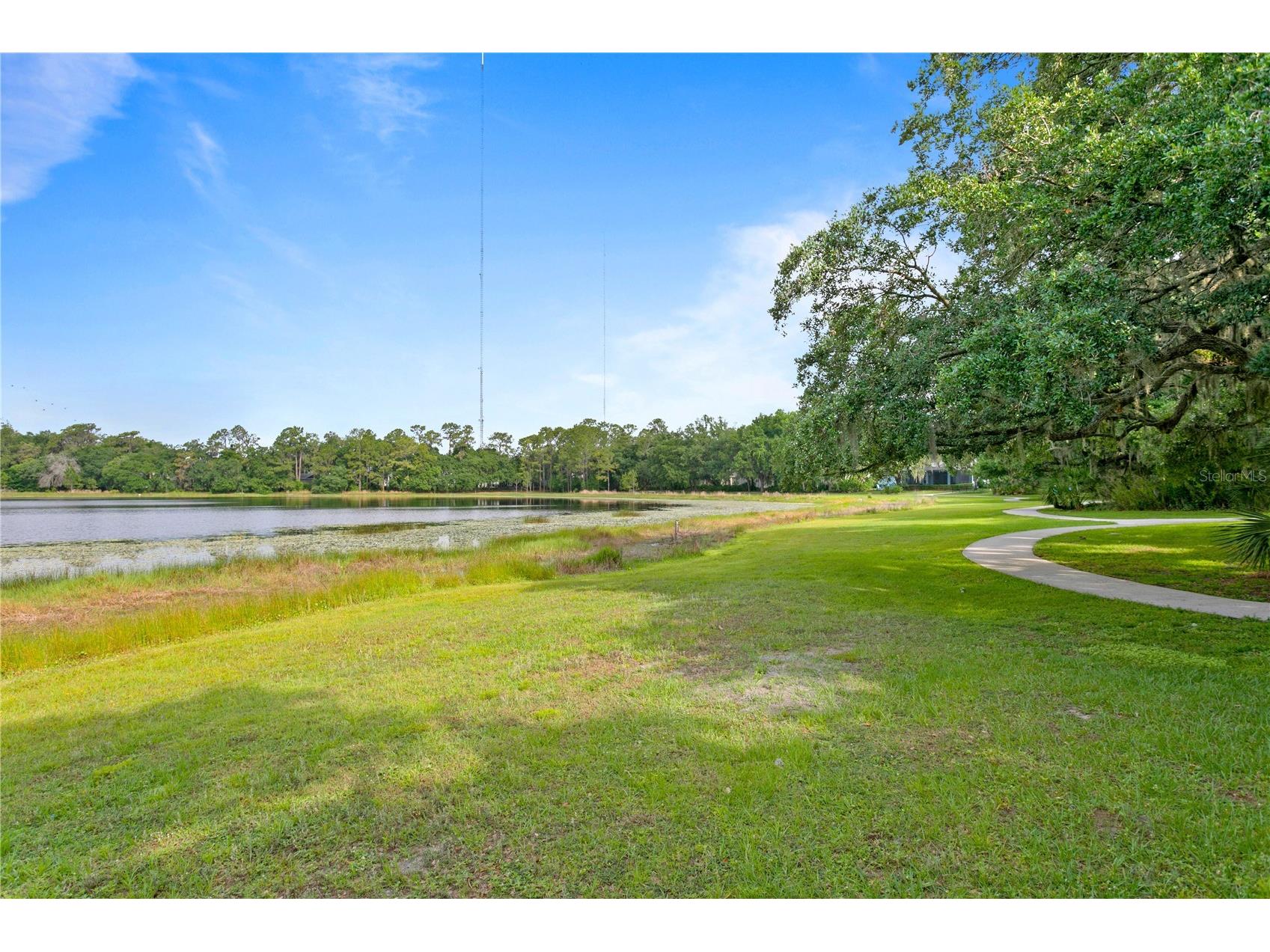 16018 Loneoak View Drive Lithia FL 33547 TB8503030 image76