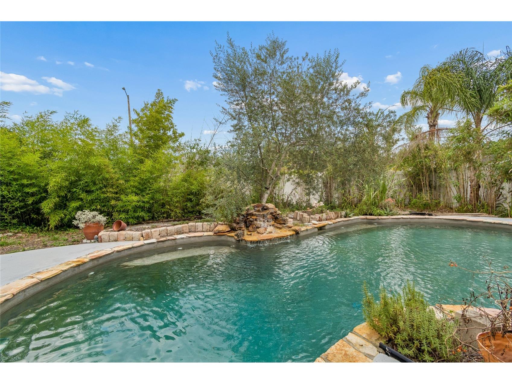 16018 Saddlestring Drive Tampa FL 33618 TB8519348 image11