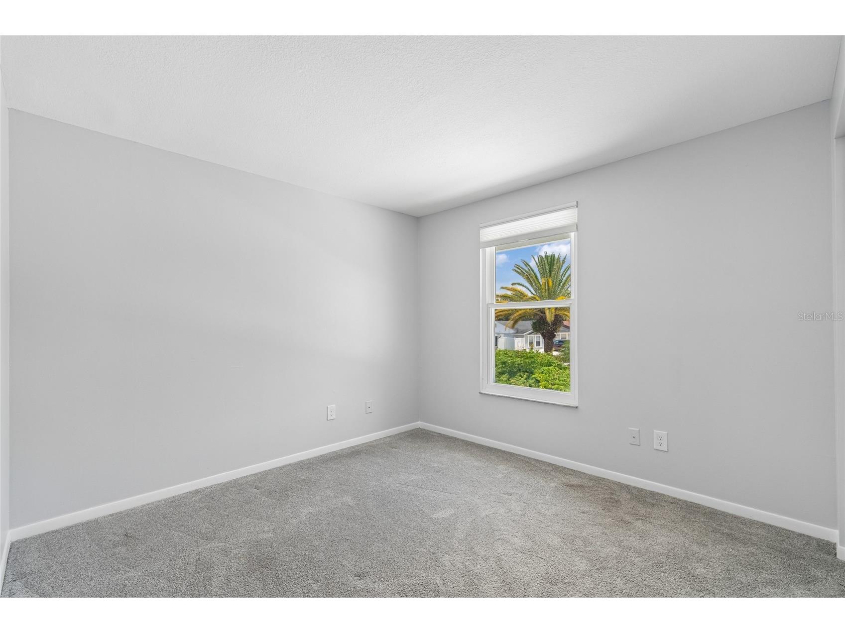 16018 Saddlestring Drive Tampa FL 33618 TB8519348 image32