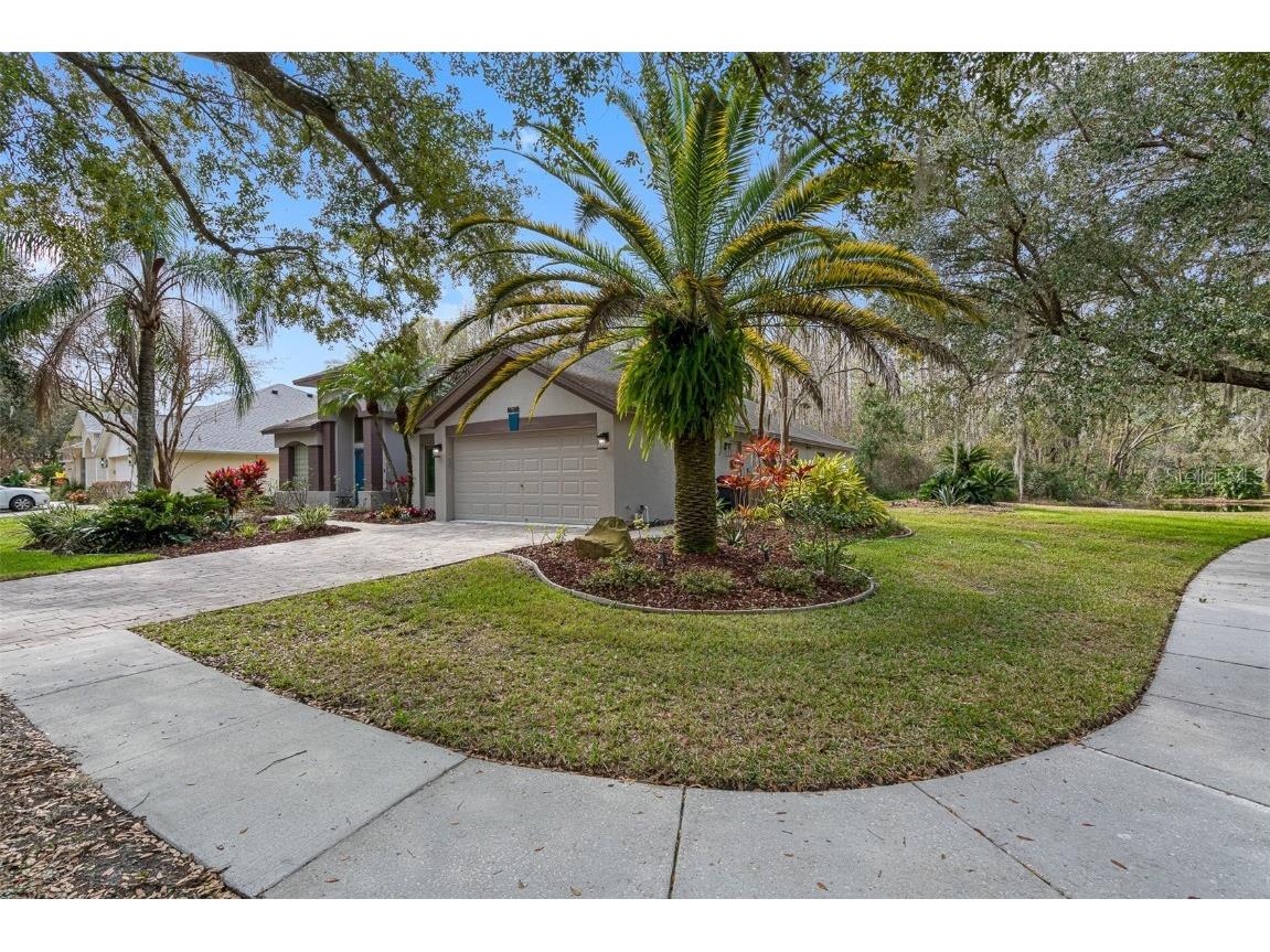 16018 Wilmington Place Tampa FL 33647 T3422260 image1