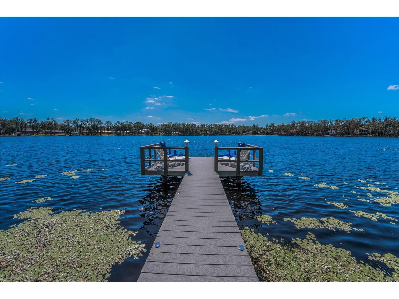 16019 Chastain Road Odessa FL 33556 - LAKE ARMISTEAD TB8460939 image1