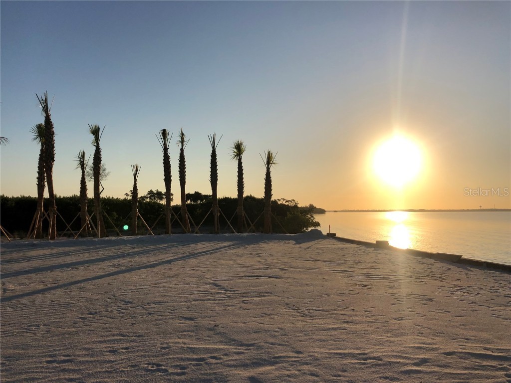 1602 4th Street E Palmetto FL 34221 - MANATEE RIVER A4666888 image17