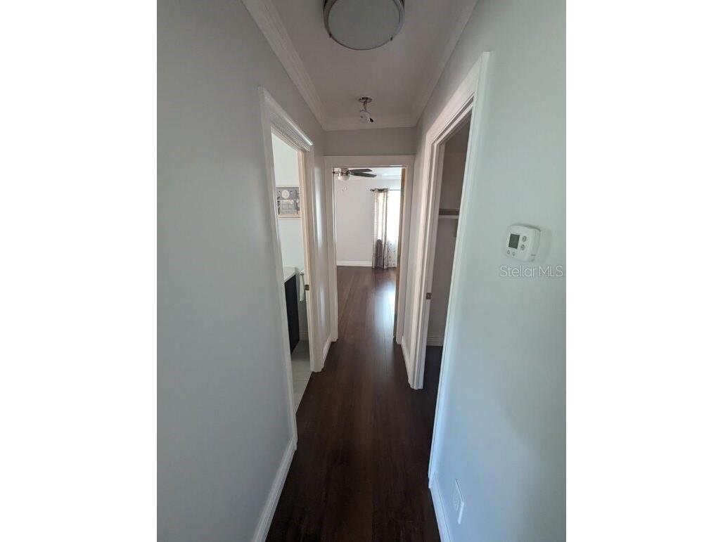 1602 Amberlea Drive S Dunedin FL 34698 TB8519657 image11