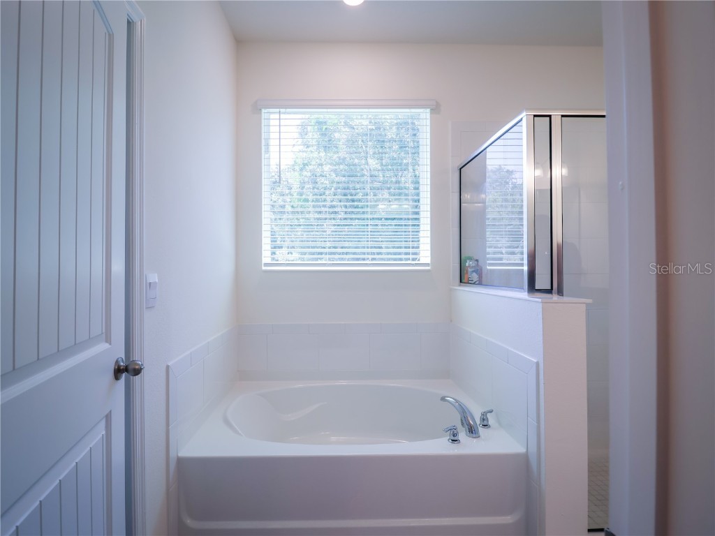 1602 Barberry Drive Kissimmee FL 34744 O6338187 image20