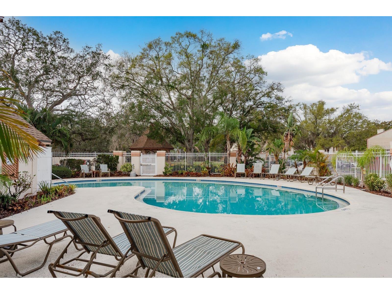 1602 Brigadoon Drive Clearwater FL 33759 TB8481584 image30