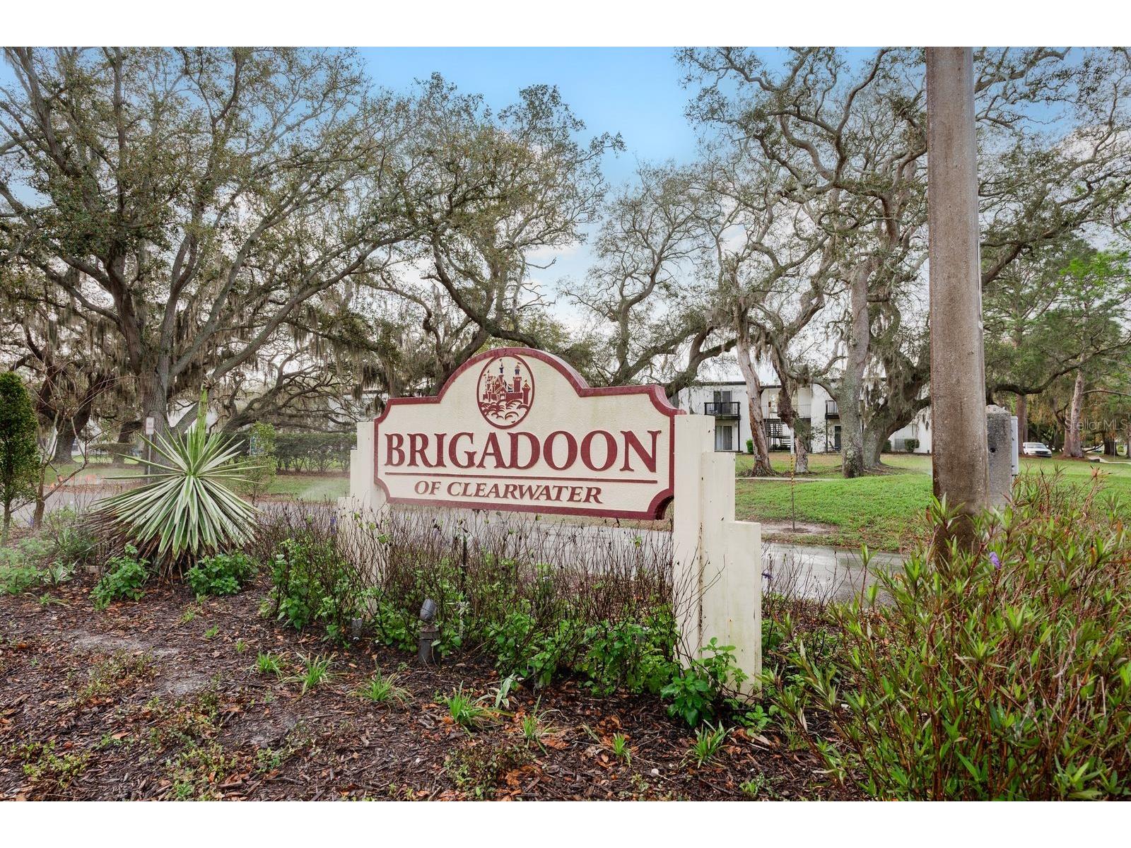 1602 Brigadoon Drive Clearwater FL 33759 TB8481584 image34