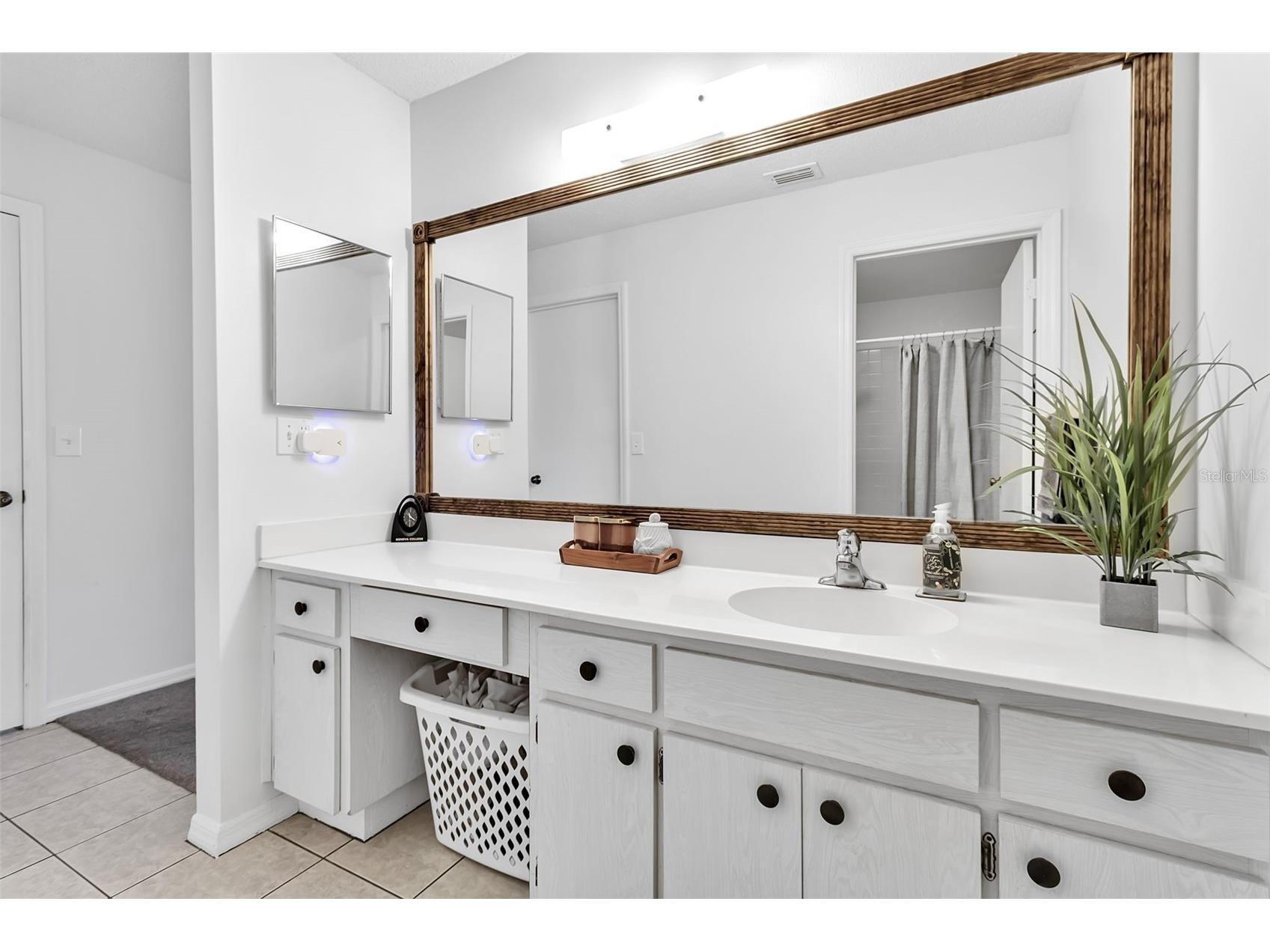 1602 Dower Way Sun City Center FL 33573 A4685331 image29