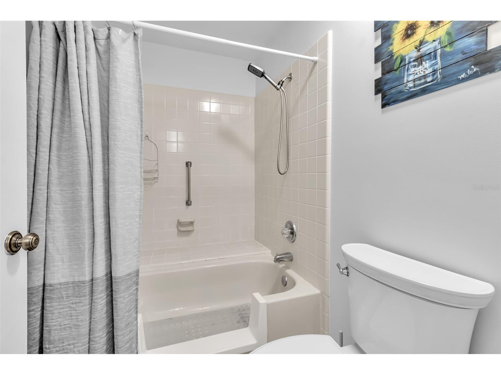 1602 Dower Way Sun City Center FL 33573 A4685331 image30